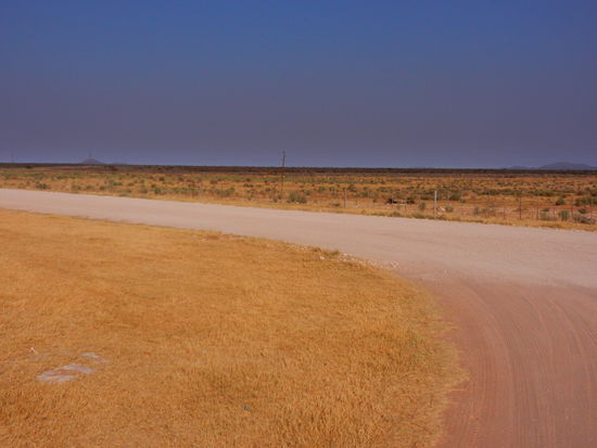 und ich spaziere ausserhalb der Lodge noch ein wenig in die Weite hinein