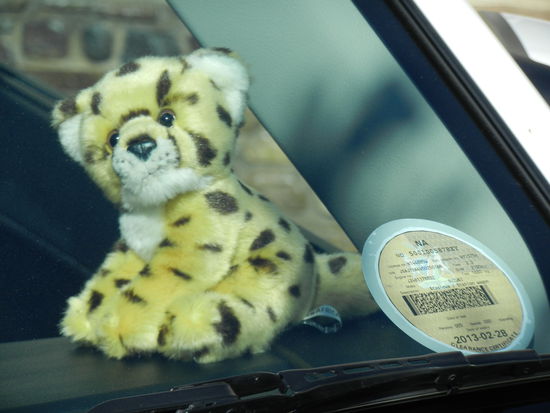 unser Ferienmaskottchen hat seinen Platz hinter der Frontschreibe schon eingenommen