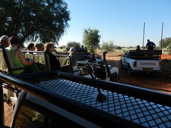 es geht auf abendliche Safari