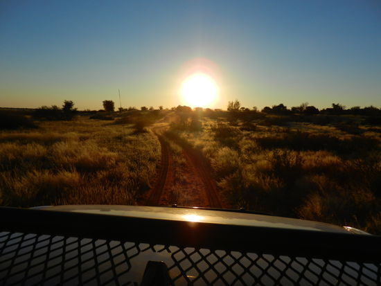 Fahrt in den Sonnenuntergang