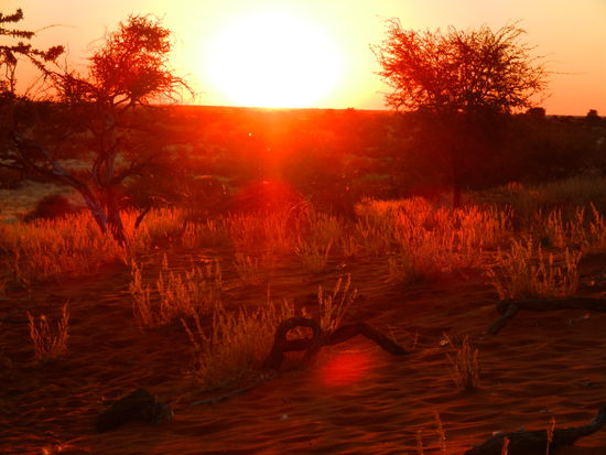 unser erster Sundowner - es ist herrlich!