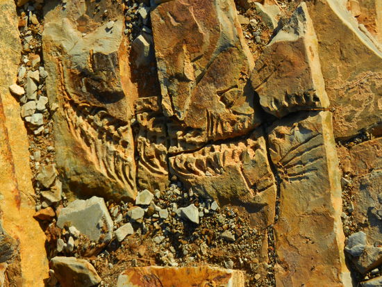 und so sieht einer seiner Schätze aus