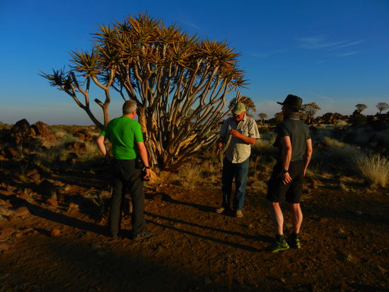 Kil erklärt uns die Köcherbäume