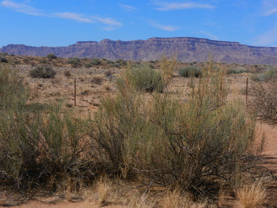 die Landschaft erinnert an die Wüsten Arizonas