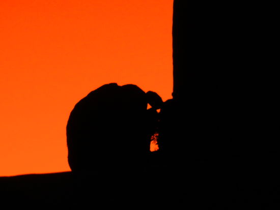 Sieht dies nicht wie ein Elefant aus, der uns beobachtet?