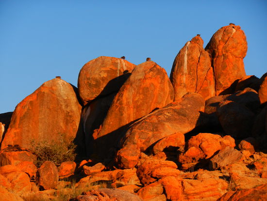Wir vier inklusive viele Klippschliefer geniessen den Sonnenuntergang