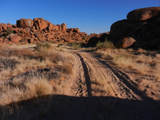 Morgenspaziergang um die Lodge