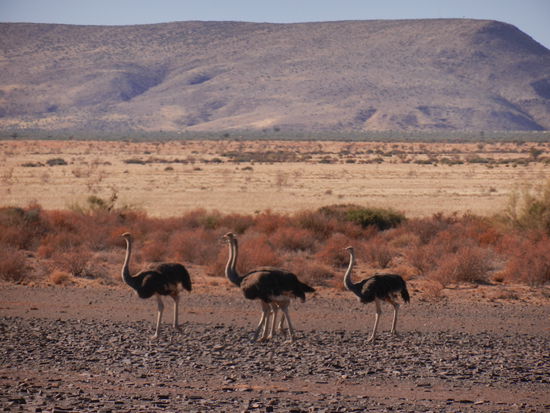 die Kerlchens muss man immer schön im Blick halten!