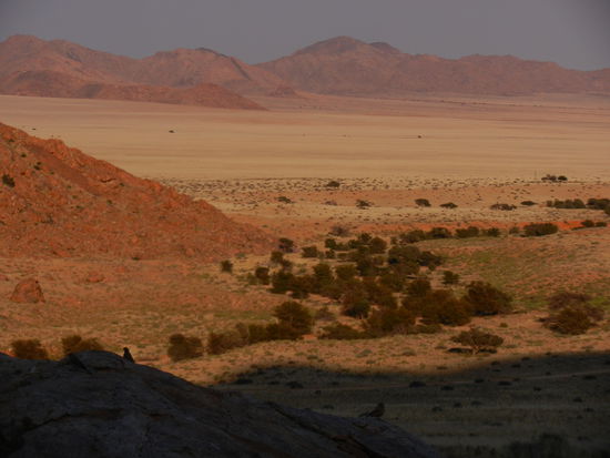 Morgenstimmung im Adlernest