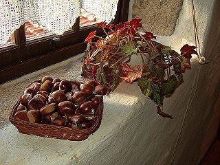 Dicke Granitwände, weiß getüncht, so hält das Bauernhäuschen warm. Und die Sonne strahlt durch das Fenster auf die Esskastanien, die vom großen Baum im Garten stammen.