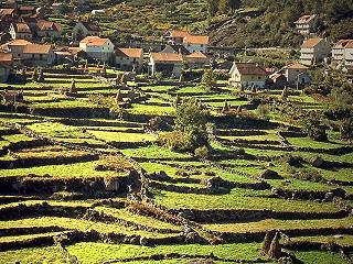 Auf Terrassenfeldern ist die Landwirtschaft teilweise recht schwer.