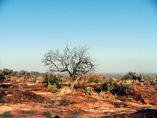 Leuchtend rot ist das Gestein des Waterbergs.