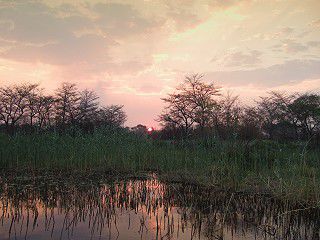 Sonnenuntergang am Kwando