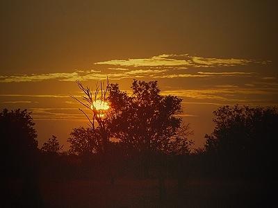 Sonnenuntergang im Okavango Delta