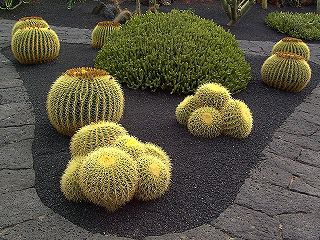 Gartengestaltung zwischen Kunst und Natur