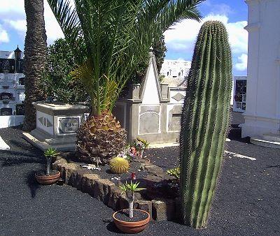 Friedhof von Haria