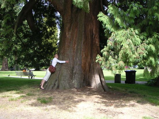 lotte mit lieblingszeder im stanley park