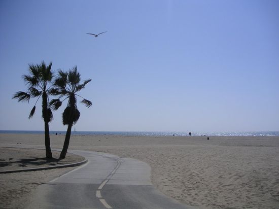Venice Beach