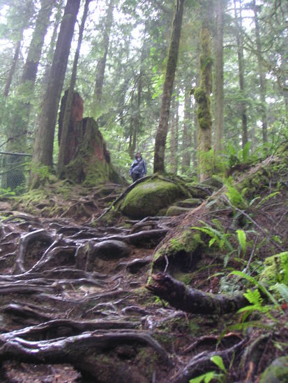und nach oben... ein maennlein steht im Walde usw.
