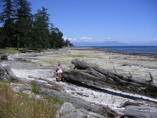 Ebbe auf Newcastle Island