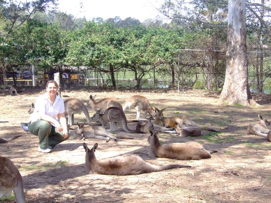 Noch mehr neue Freunde 