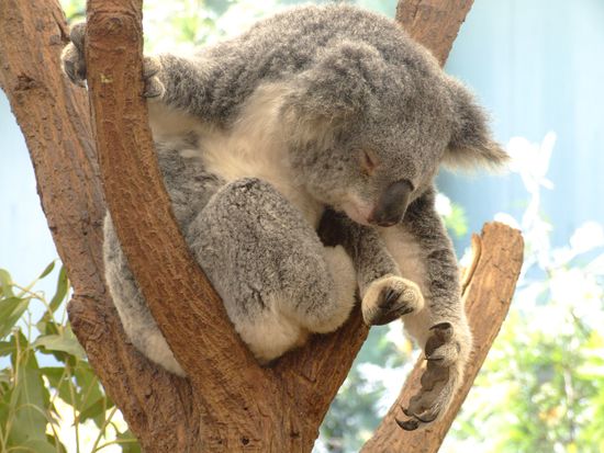 *zzzzzzzzzzzzzzzzzzzzz*