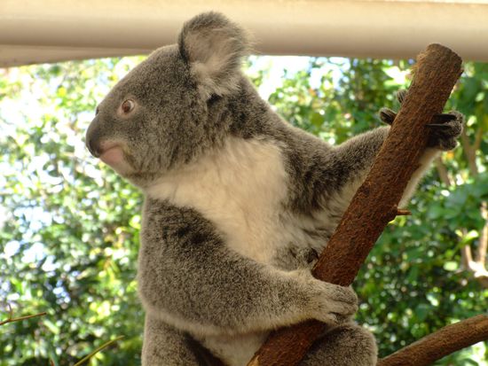 Oha, der ist wach! 
Sucht wohl seine Kumpels...