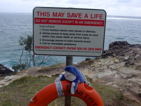 Humphrey, the Humpback Whale (Buckelwal)