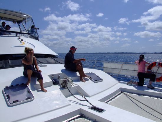 Alle halten Ausschau...