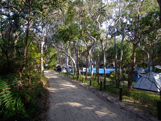 Die "Straße" zum Camp