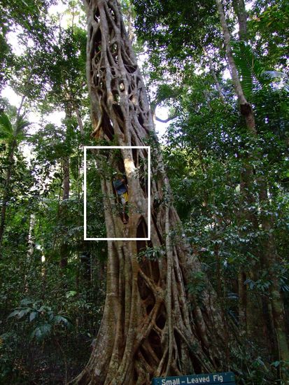 Da ist ein Mensch drin!