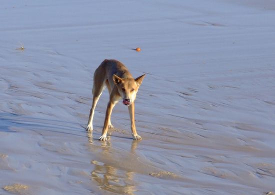 Oh, der hat uns gesehen 