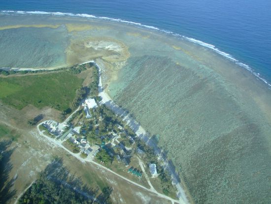 Bye bye, Lady Elliot!