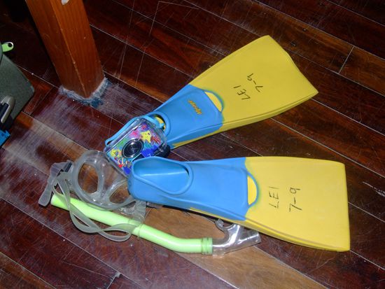 Meine Schnorchel-Ausrüstung inkl.
Unterwasserkamera