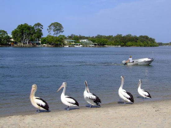 "Okay, auf drei fliegen wir alle los...!"