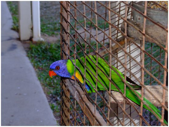 "Und ... tschüß, bis morgen!"