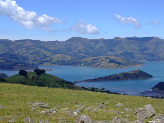 Scenic Route nach Akaroa