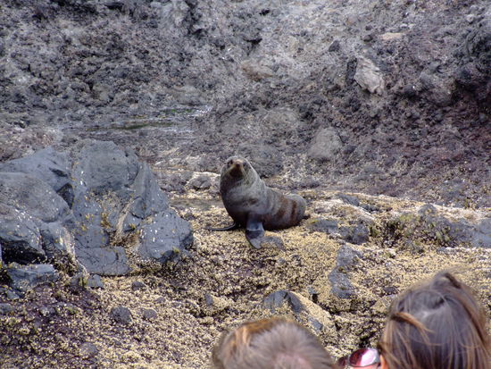 ...auch nicht als wir so nah rankamen...