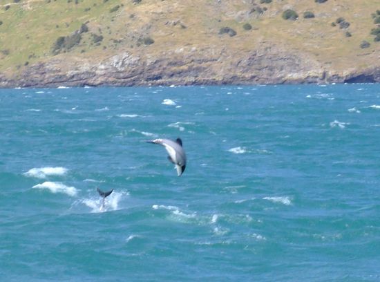 Waaaaaaaaaaaaahnsinn, oder?   *quietsch