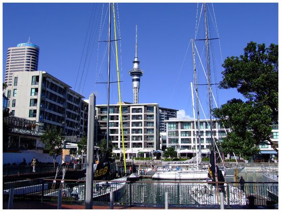 Blick vom Hafen Richtung City