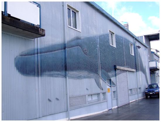 ...und noch ein Wal! 