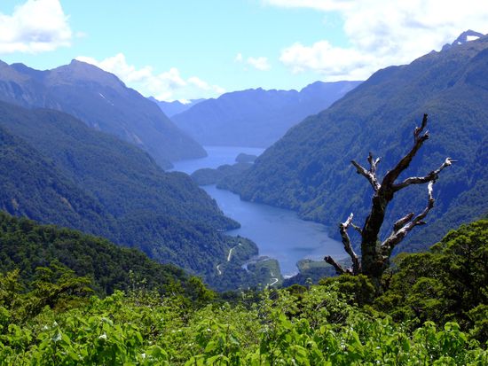 Doubtful Sound, Aussicht vom Wilmot Pass