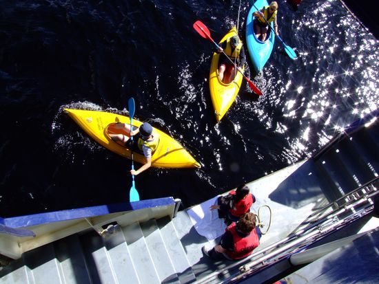 Kayaks kommen zurück