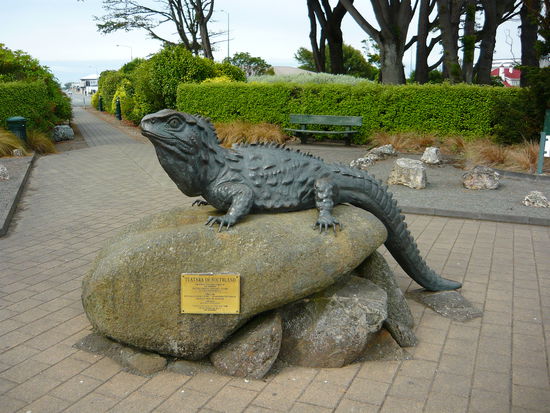 Henry, der Tuatara