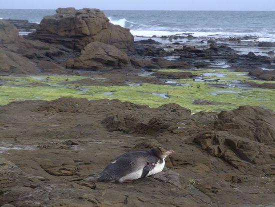 "Puh, erstmal ne Pause..."