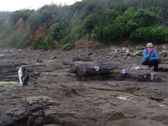 Sandra und der Pinguin 