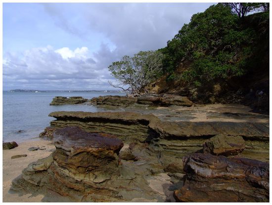 Felsen am Narrow Neck Beach