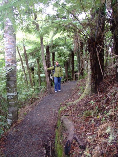 Durch den Regenwald
zum Aussichtspunkt