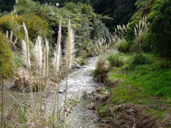 ein kleiner Bach am Straßenrand