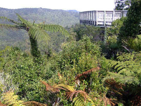 Aussicht vom Boardwalk aus